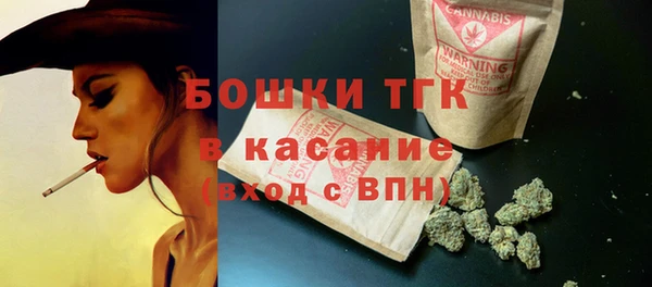 ешки Инсар