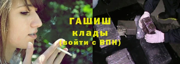 мдпв Инта