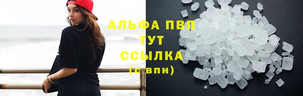 мдпв Инта