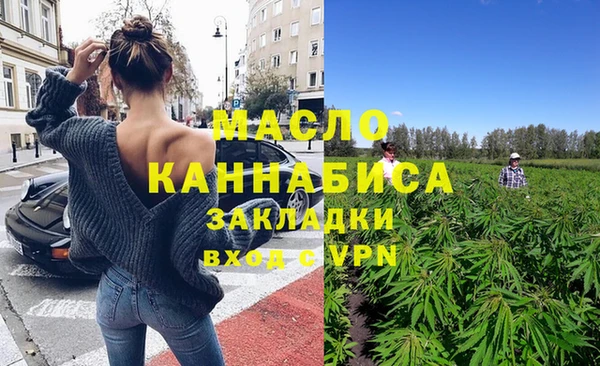 мдпв Инта