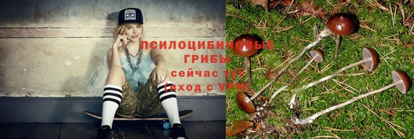 ешки Инсар