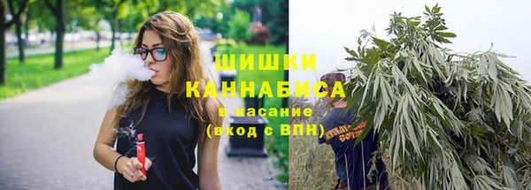 ешки Инсар