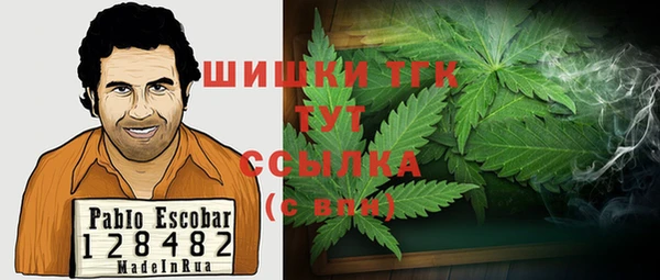 ешки Инсар