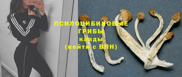 ешки Инсар