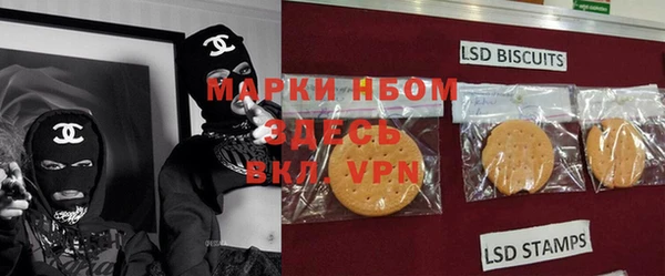 мдпв Инта