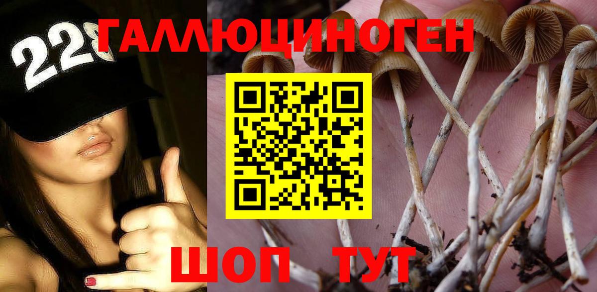 Псилоцибиновые грибы Psilocybe  Вход с VPN  Долгопрудный 