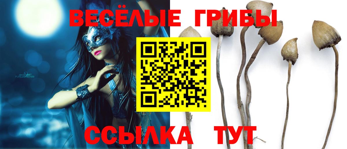 Галлюциногенные грибы мицелий Долгопрудный